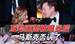 外媒爆料马斯克事件视频,外媒揭秘惊人一幕